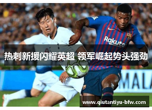 热刺新援闪耀英超 领军崛起势头强劲