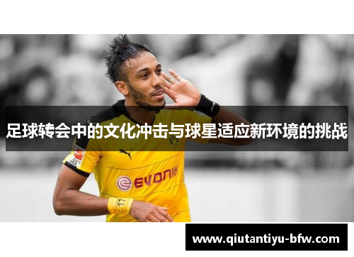 足球转会中的文化冲击与球星适应新环境的挑战