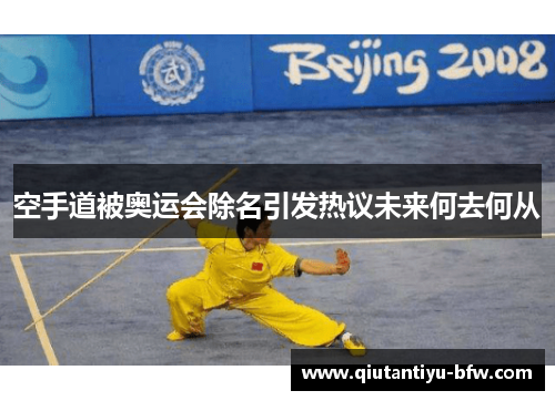 空手道被奥运会除名引发热议未来何去何从
